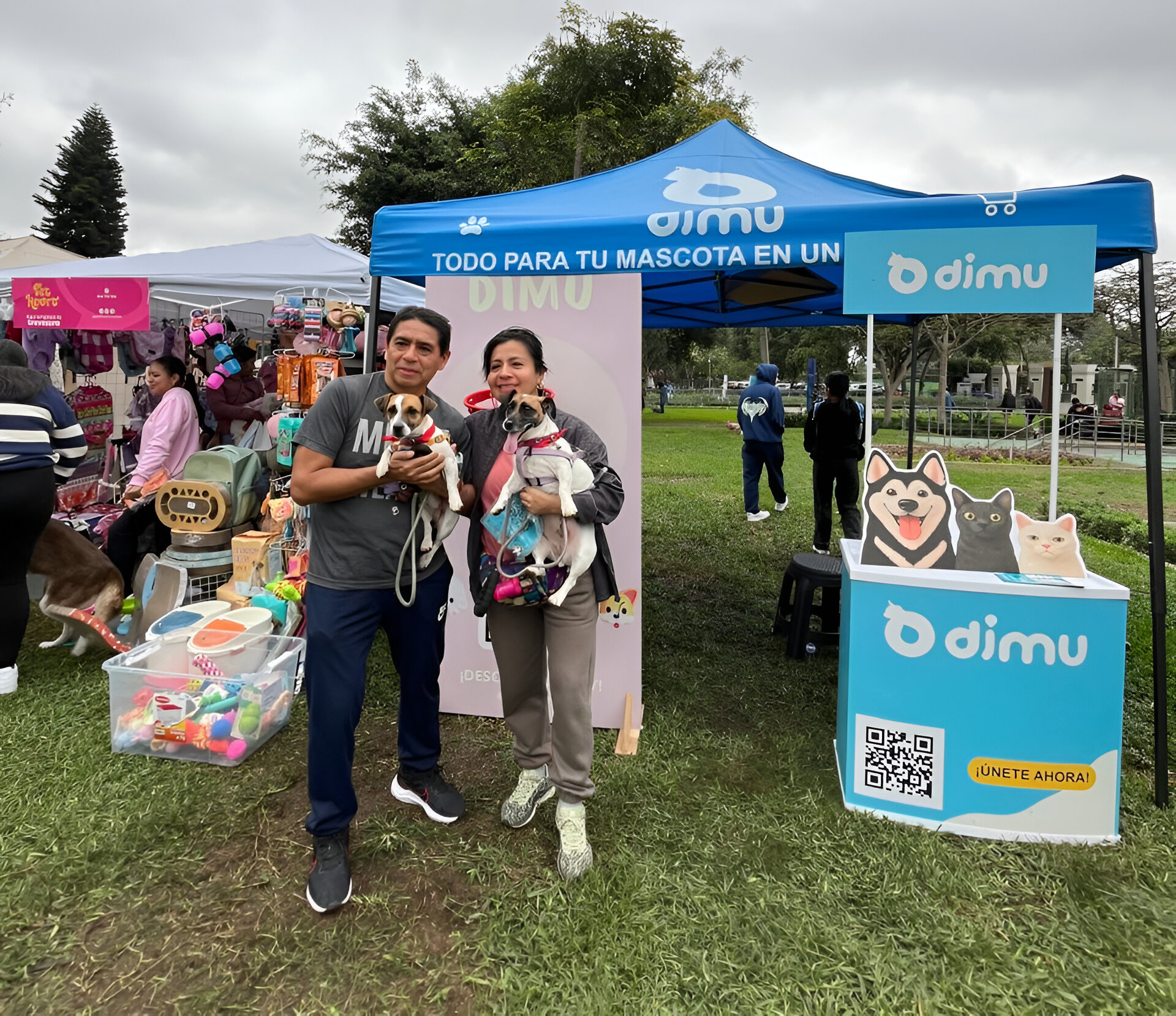 Equipo DIMU trabajando